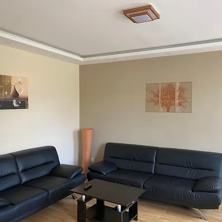 Interassist 2 Daire Heidelberg